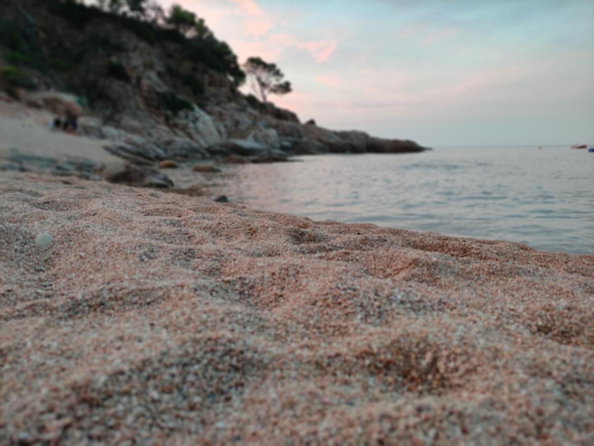 Apartamento Con Piscina - Tossa - Magnificas Vistas Al Mar Girona Bagian luar foto