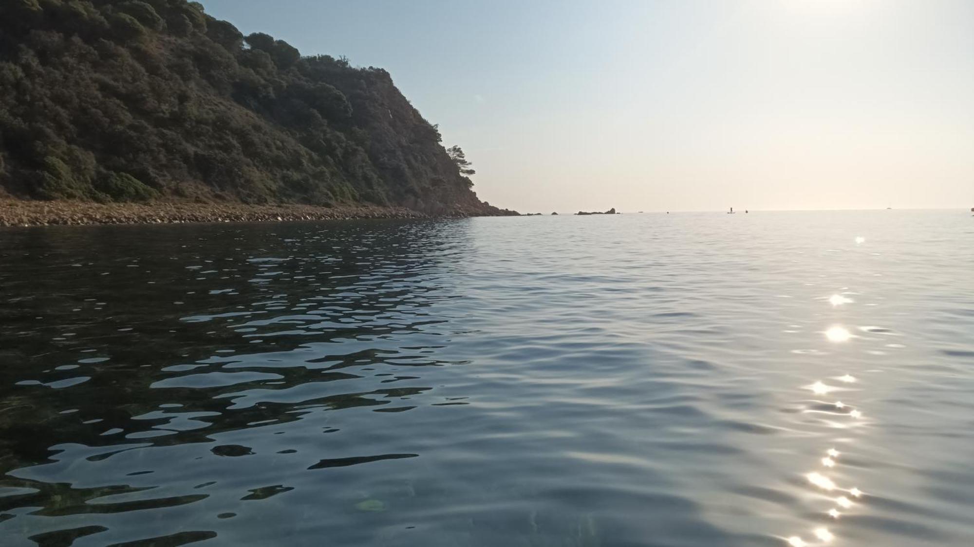 Apartamento Con Piscina - Tossa - Magnificas Vistas Al Mar Girona Bagian luar foto